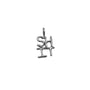 Load image into Gallery viewer, Sh*t Charm
