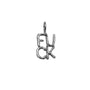Load image into Gallery viewer, F*ck Charm
