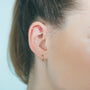Load image into Gallery viewer, Point Plaque with White Diamonds