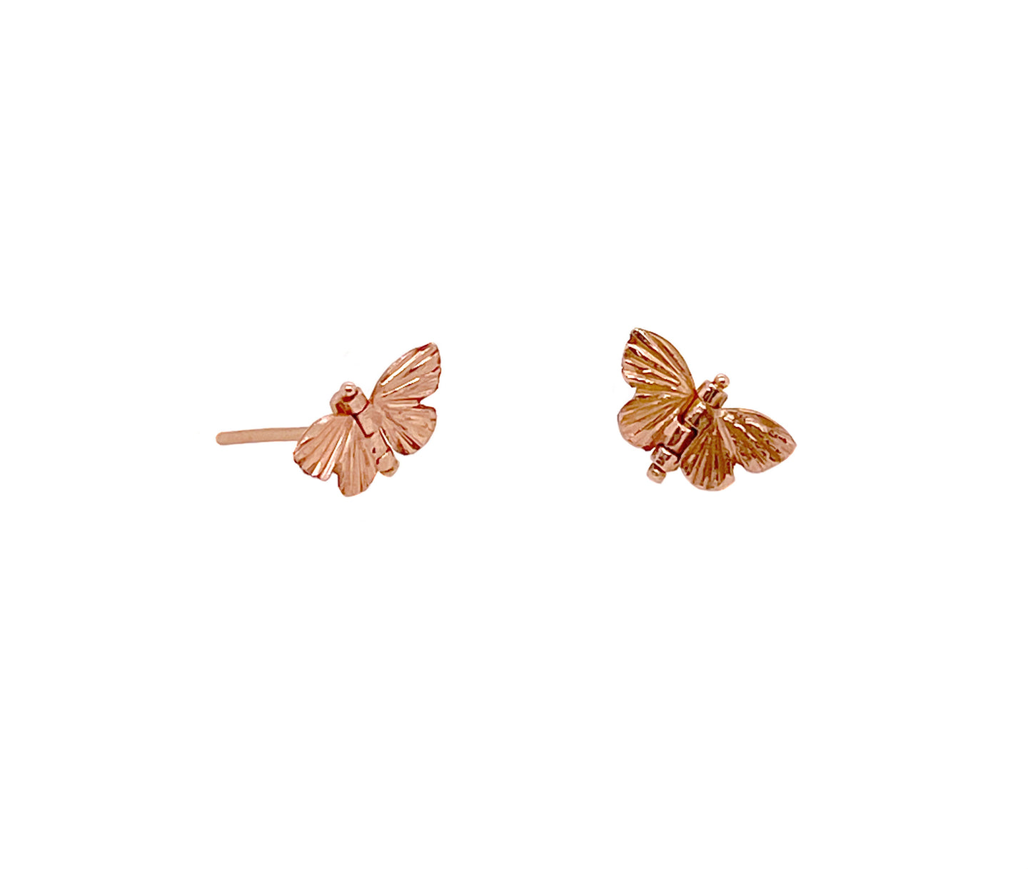 Rose Gold Tiny Asterope Butterfly Studs