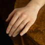 Load image into Gallery viewer, Riverbank Band
