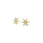 Load image into Gallery viewer, Diamond Center Star Earrings
