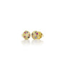 Load image into Gallery viewer, A pair of Adel Chefridi 18k yellow gold studs featuring multi color sapphires including blue, pink, purple, white and yellow.
