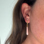 Load image into Gallery viewer, Pink Shell Sticks and Stones Earrings
