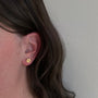Load image into Gallery viewer, Small Bud Diamond Stud Earrings
