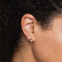 Load image into Gallery viewer, Chubby Gold Huggie Hoops
