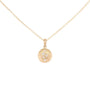 Load image into Gallery viewer, 12mm 'Boulder' Dancing Diamond Disc Necklace
