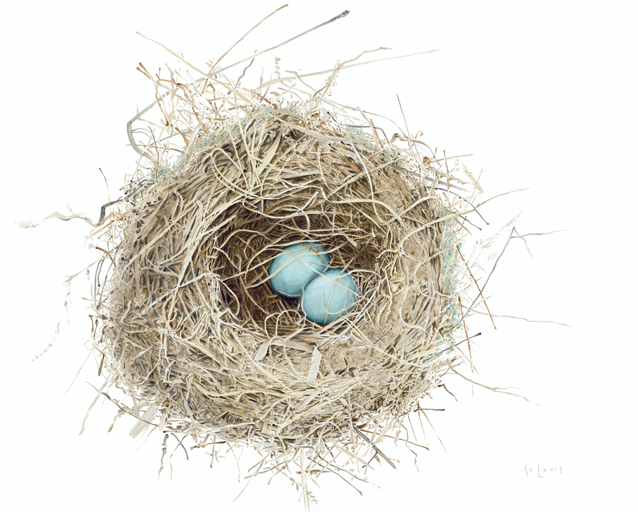 Nest Skylar | Art + Soul Gallery