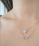 Load image into Gallery viewer, Compass Moonstone Necklace
