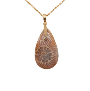 Fossilized Coral Sticks and Stones Pendant